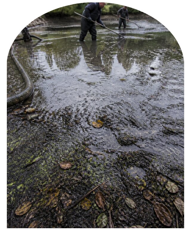 Очистка пруда в Иванове от ила мусора и водорослей с вывозом